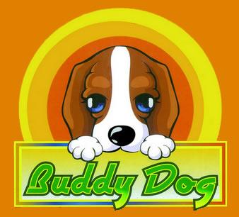BuddyDog - производитель качественной детской и подростковой обуви из Китая.